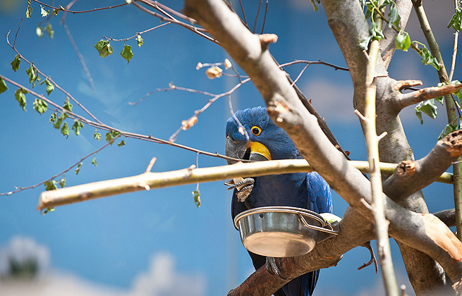 短信轰炸机网页版在线