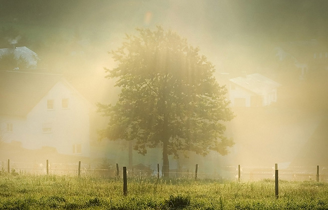 免费手机号轰炸