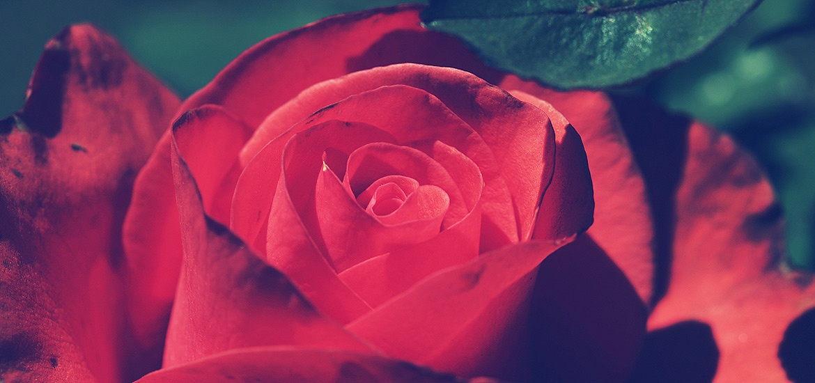 会员充值渠道的骚扰神器24小时轰炸免费